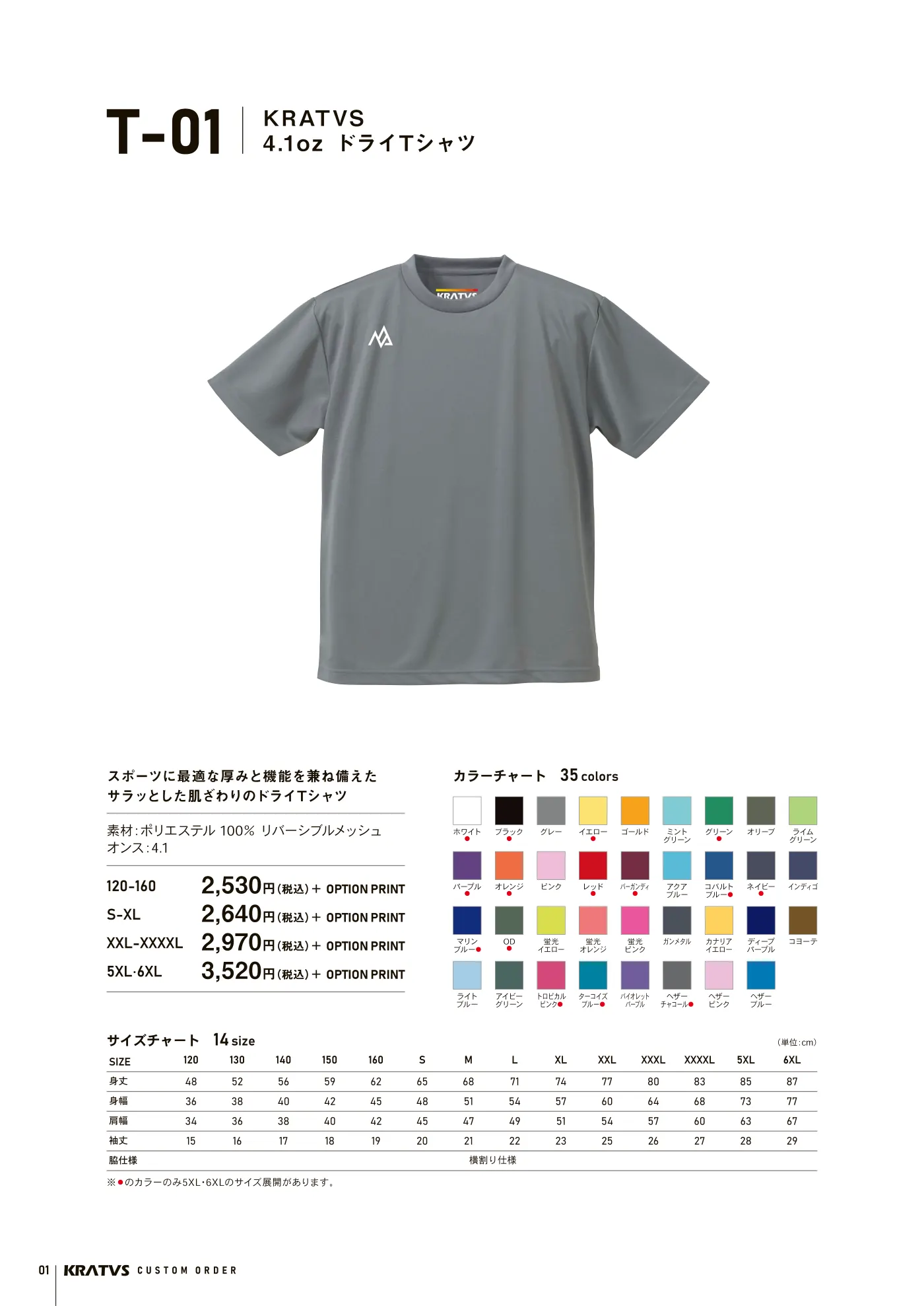 カタログ p2 T-01 ドライTシャツ 4.1oz
